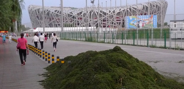 L'entrée du Olympic Green de Pékin
