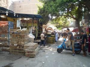 Busy street life in Cairo