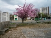 120513 Bicycle Canal de l'Ourcq © Christian Horn 2012