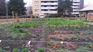 Example of community gardening at Boissy-Saint-Léger