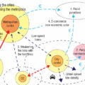 PB57 diagram illustrating urban crisis dynamics affecting suburban city centres, France © Rethink 2018