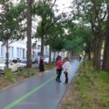 Boulevard de Charonne in Paris – urban street in the context of the French Green Wave municipal politics, 2020