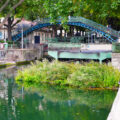 Green floating raft on the Seine river in Paris – nature-based water purification and biodiversity project, 2020